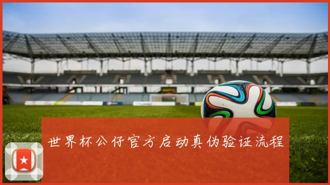 世界杯公仔官方启动真伪验证流程