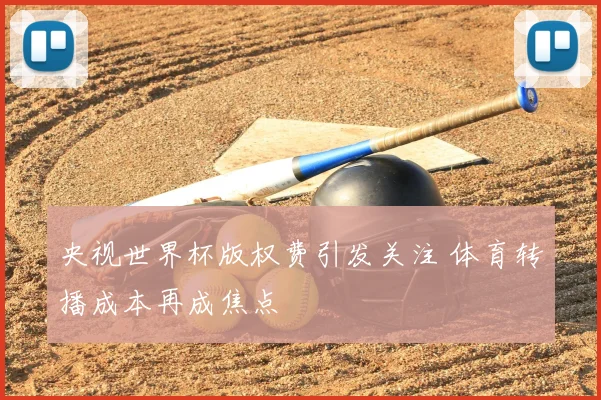 央视世界杯版权费引发关注 体育转播成本再成焦点