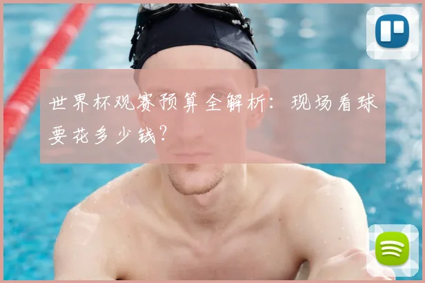 世界杯观赛预算全解析：现场看球要花多少钱？