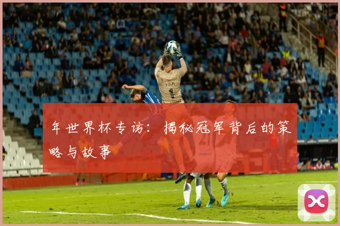 年世界杯专访：揭秘冠军背后的策略与故事