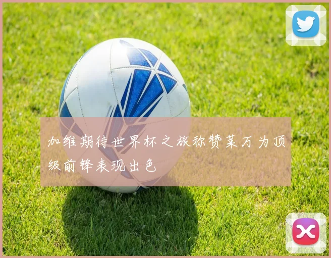 加维期待世界杯之旅称赞莱万为顶级前锋表现出色
