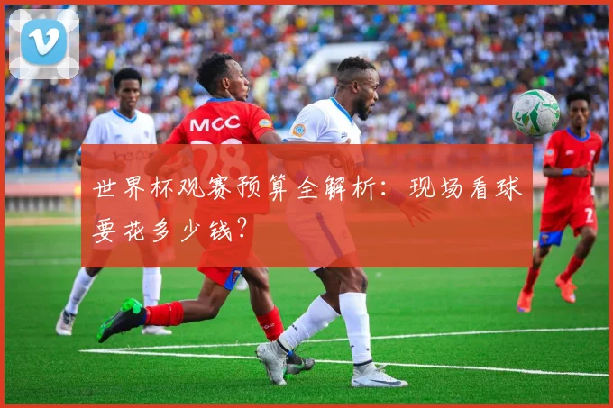 世界杯观赛预算全解析：现场看球要花多少钱？
