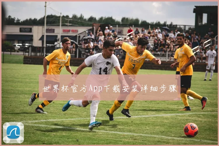 世界杯官方App下载安装详细步骤