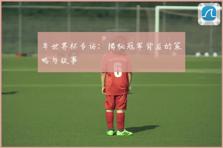 年世界杯专访：揭秘冠军背后的策略与故事