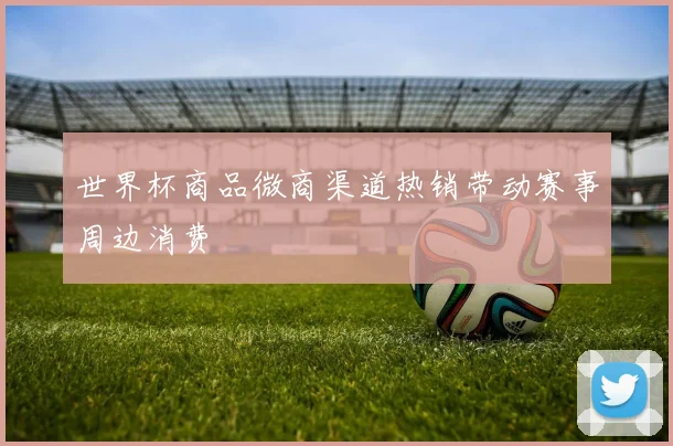 世界杯商品微商渠道热销带动赛事周边消费
