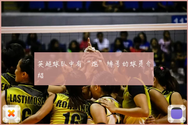 英超球队中有“炮”绰号的球员介绍