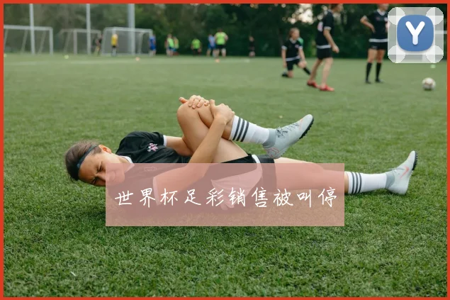 世界杯足彩销售被叫停