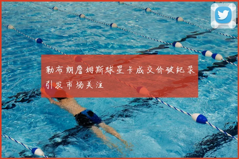 勒布朗詹姆斯球星卡成交价破纪录引发市场关注