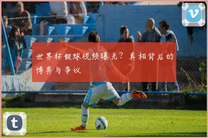 世界杯假球视频曝光？真相背后的博弈与争议