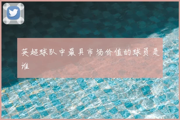 英超球队中最具市场价值的球员是谁