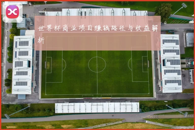 世界杯商业项目赚钱路径与收益解析