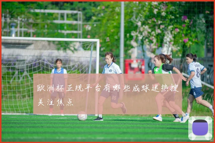 欧洲杯正规平台有哪些成球迷热搜关注焦点