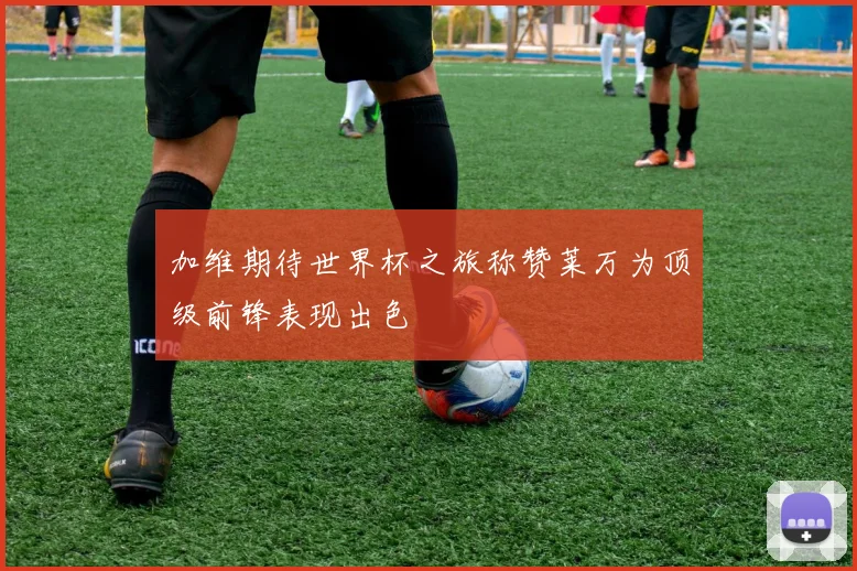 加维期待世界杯之旅称赞莱万为顶级前锋表现出色