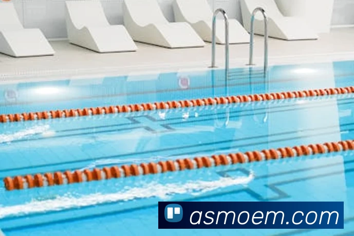 华体会体育服务体系